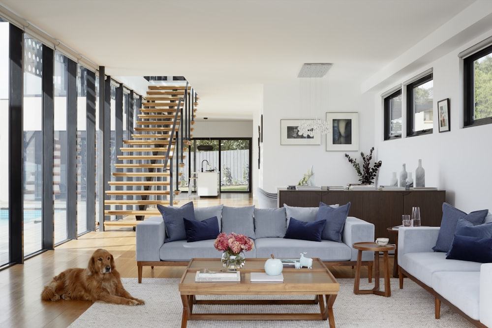Rentals, furnished and bare