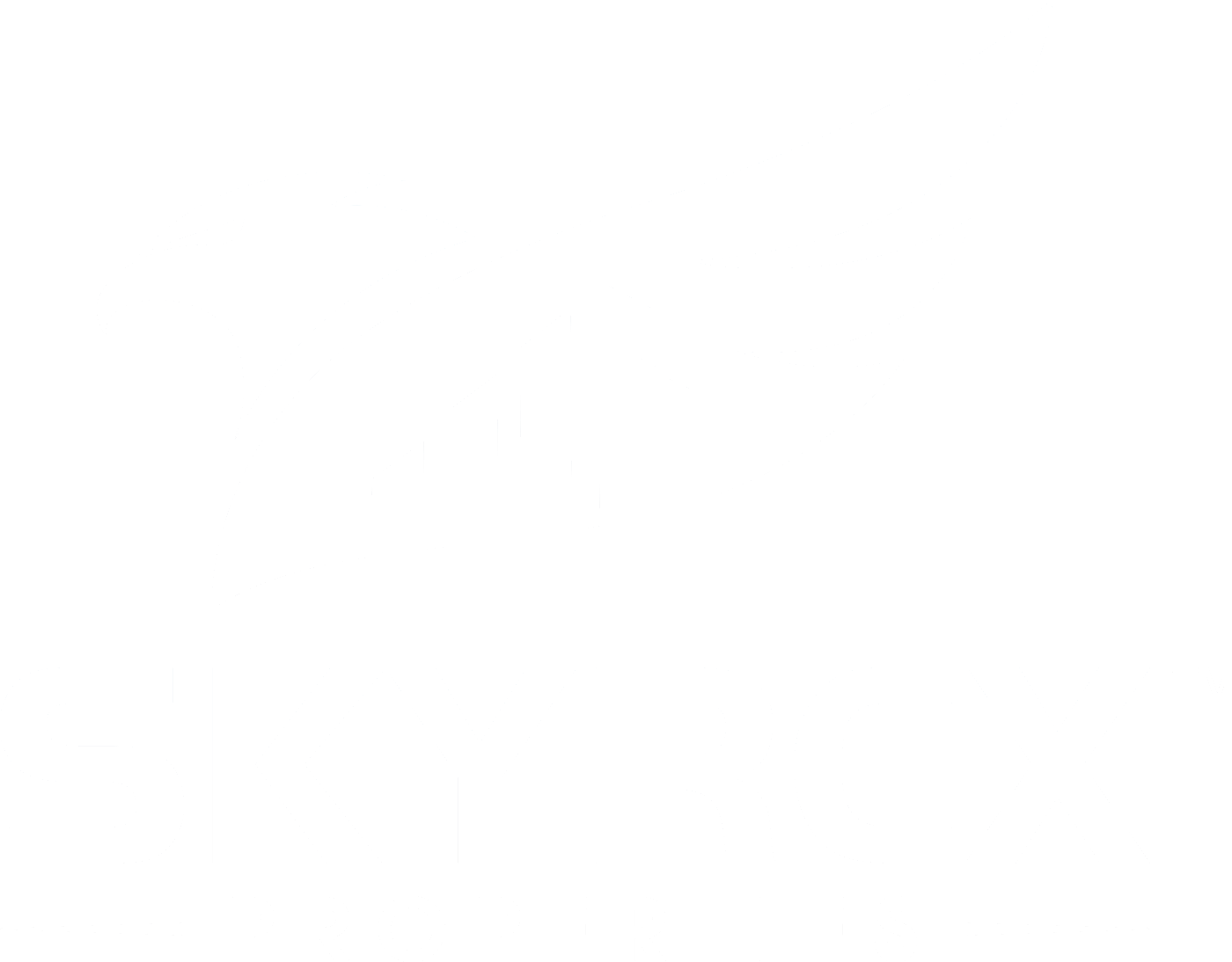 SKYREX Properties